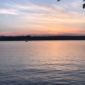 Meet your Posher, Lilly